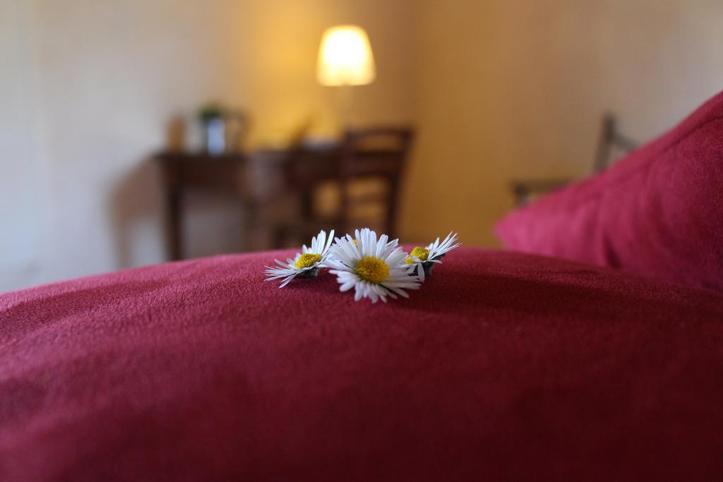 Agriturismo Casavecchia Филине Валдарно Екстериор снимка