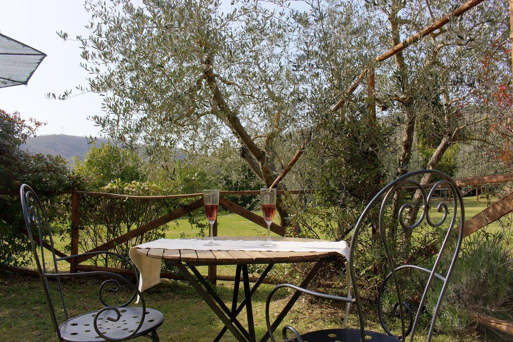 Agriturismo Casavecchia Филине Валдарно Екстериор снимка