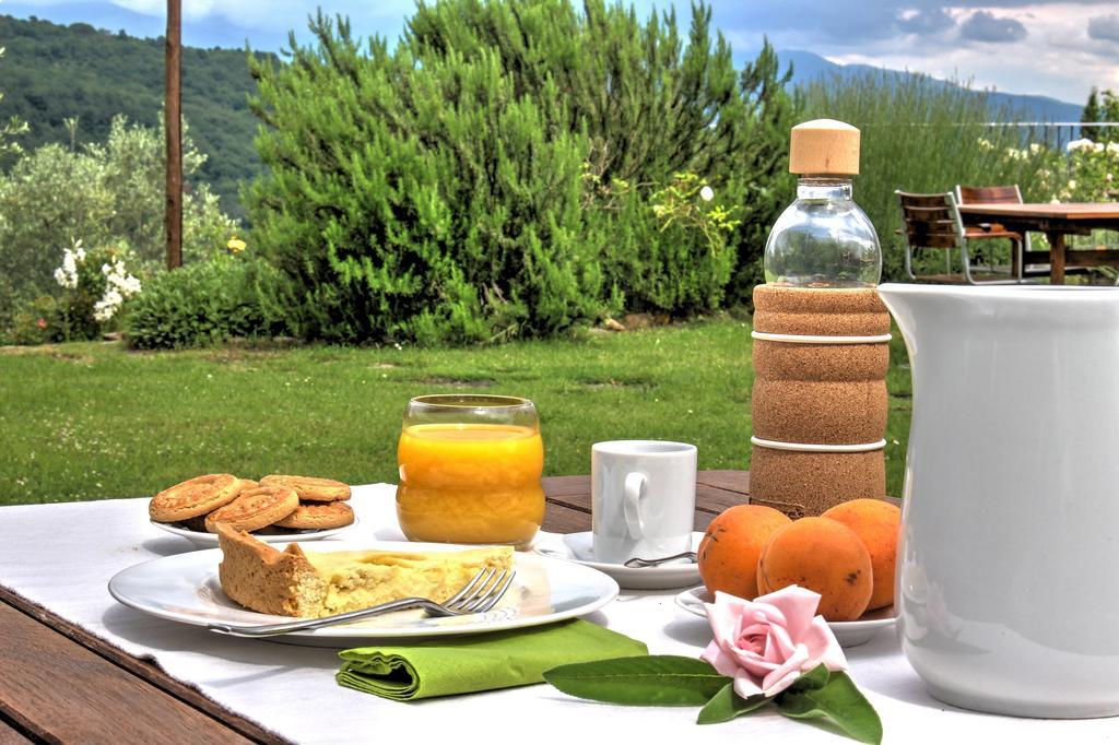 Agriturismo Casavecchia Филине Валдарно Екстериор снимка